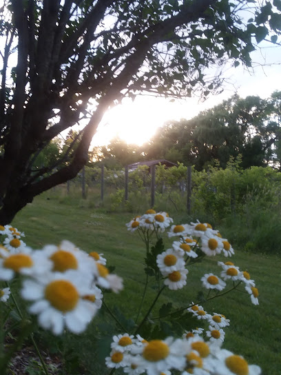 Truck parking near Oak Creek, WI